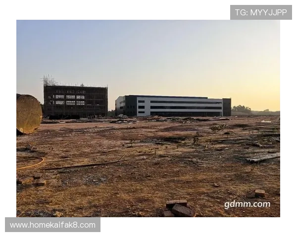 未来五年AG厅K8集团的业务拓展计划及市场前景展望